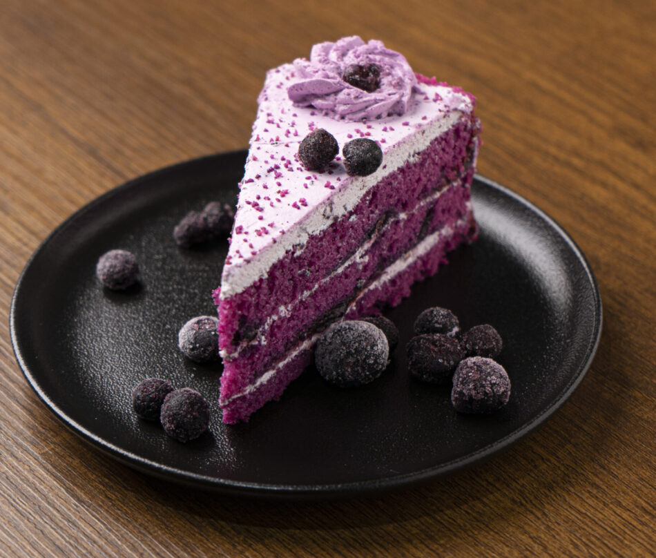 Blueberry Cheese Cake