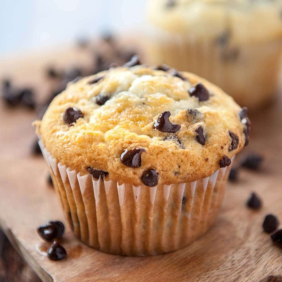 CUP CAKE (CHOCOLATE, BLUEBERRY, OREO & VANILLA)